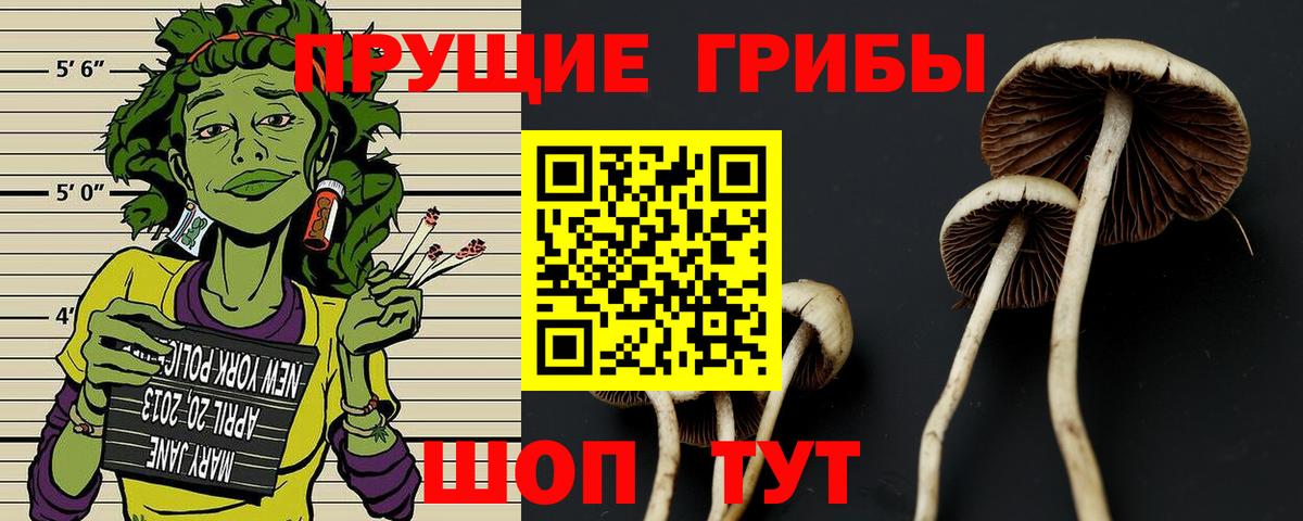 Псилоцибиновые грибы MAGIC MUSHROOMS Серов